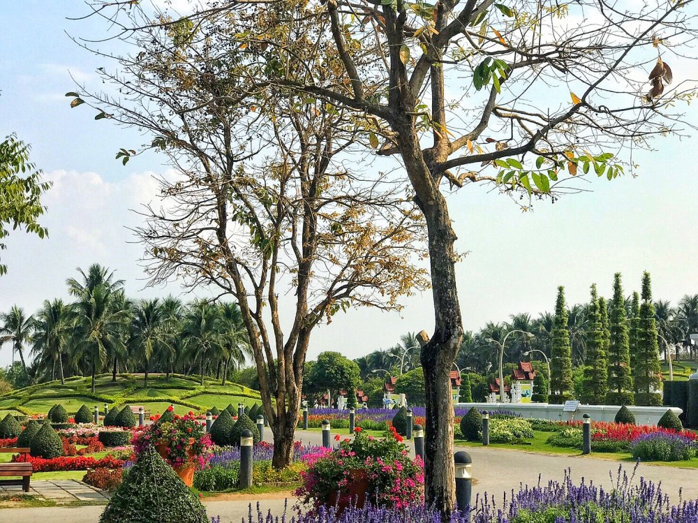 Royal Park Rajapruek