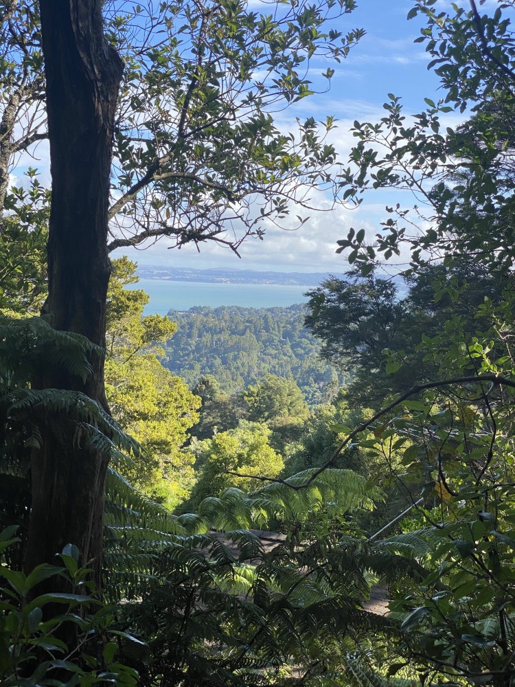 Stunning view of the ocean and forests. Amazing.