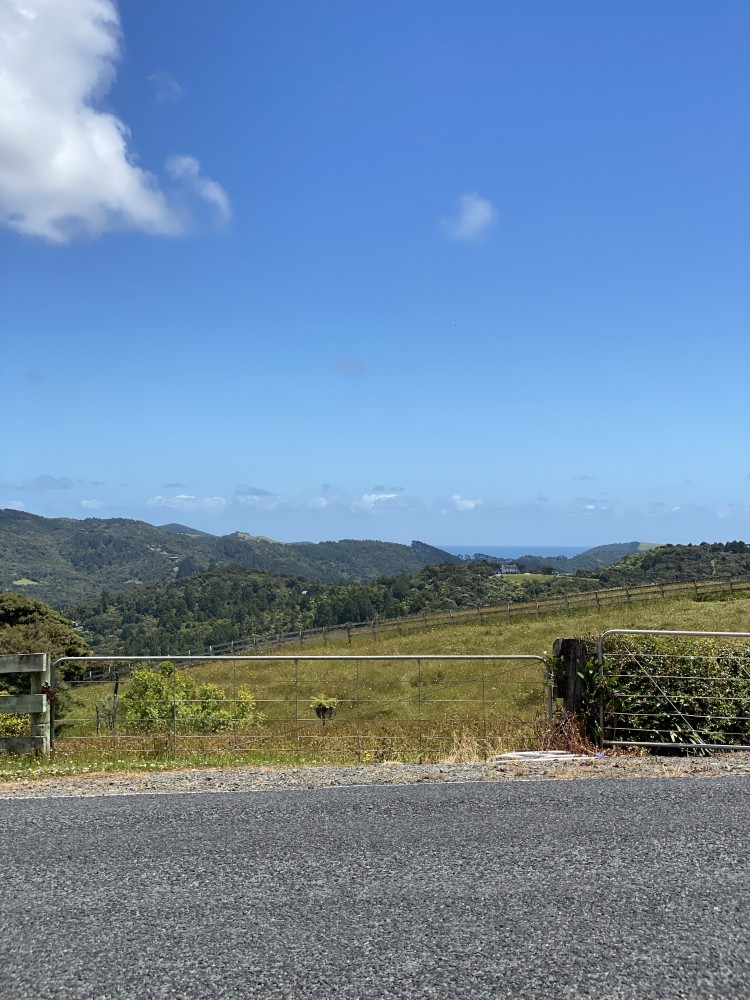 Wonderful view out in the wonderful west Auckland.