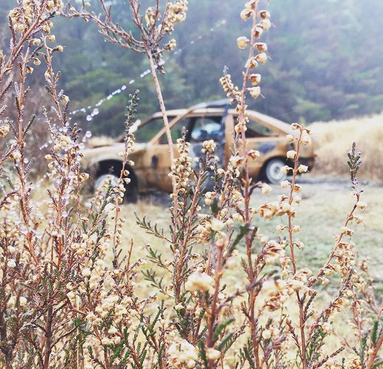 Went on a roadtrip about a year ago, I found this abandoned car in the middle of a forest. I thought it looked pretty cool in the photos