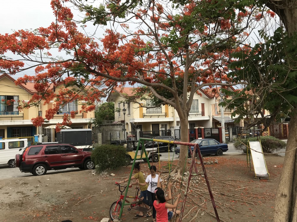 Nice day for kids to play outside