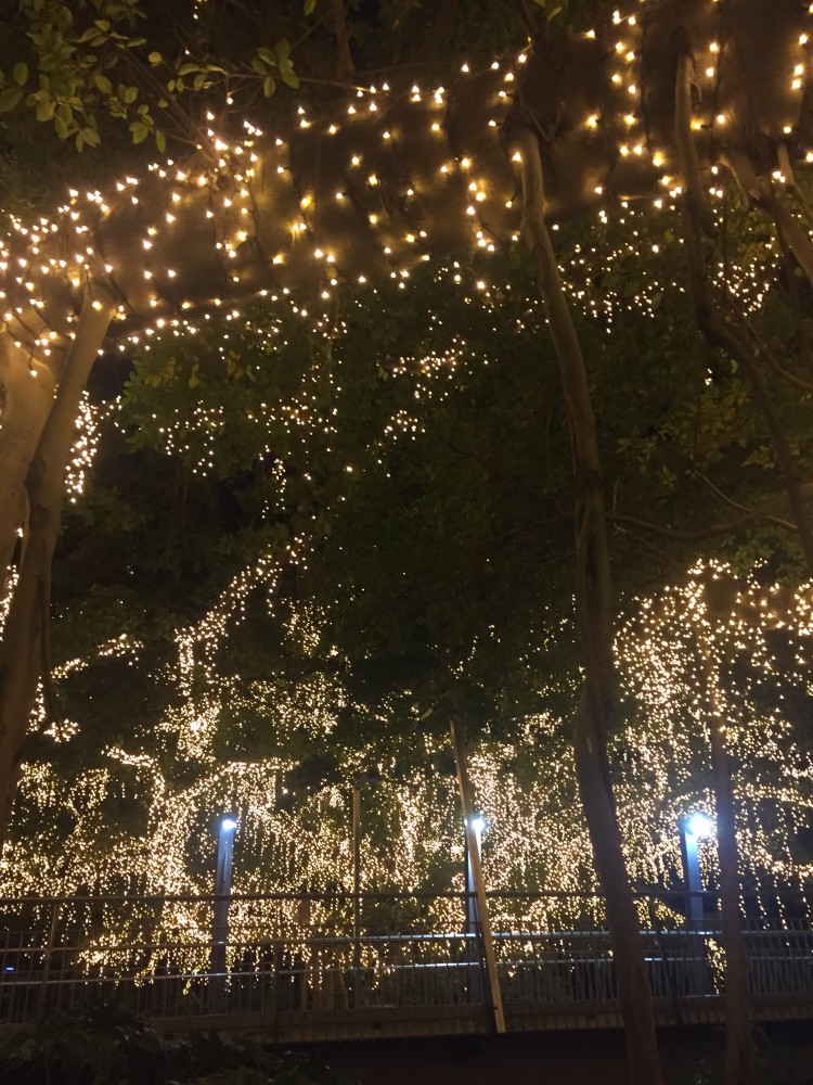 Fairy lights in Brisbane
