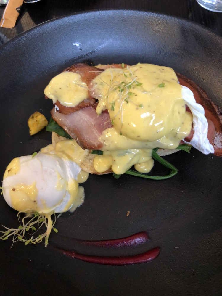 Eggs Benedict w/ Bacon