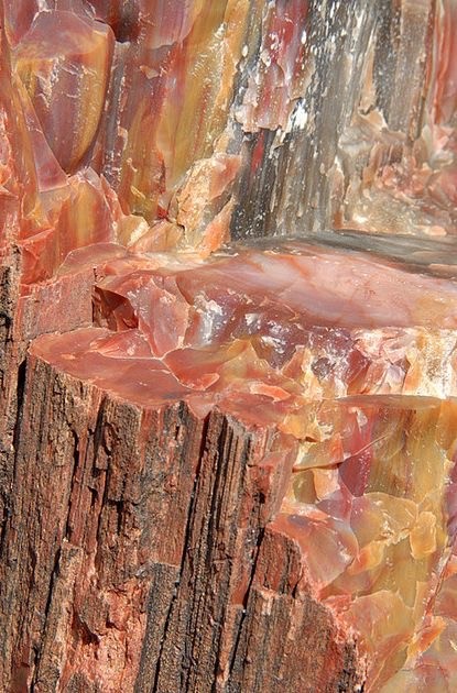 Grounding from Petrified Wood