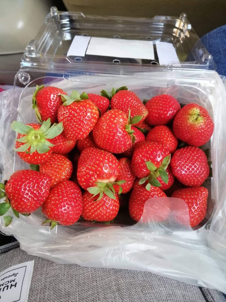 Strawberries from Baguio City Philippines