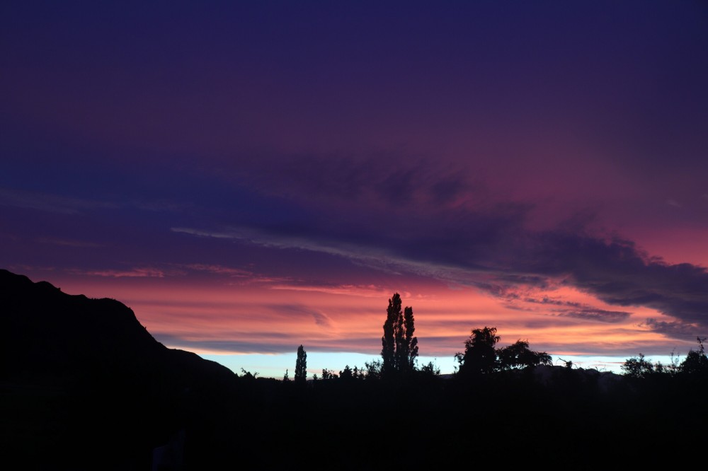 Sunset silhouettes