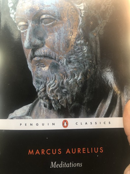 Has anyone read this amazing book? *Currently reading*