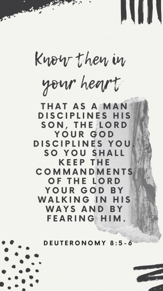 Discipline