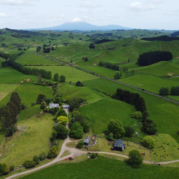 What is everybody’s thoughts on 100% grass fed chemical free beef and lamb that gets exported from New Zealand? Do you think this is a good way of farming and think New Zealand should be credited for it?