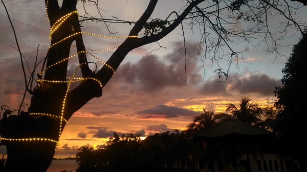 The fine branches looks like cracks on the sky.