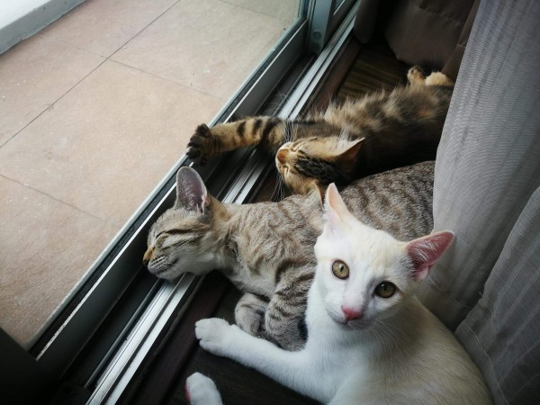 Ima take a nap right here 