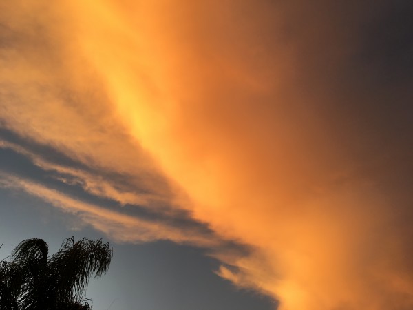 Clouds during the sunset