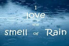 It's raining .. Enjoy it! 