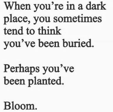 Don't be afraid to bloom. 