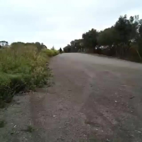 driftys