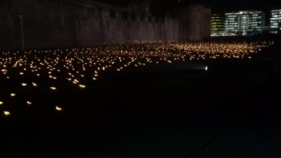 10000 lights at the Tower of London to commemorate the 100 year anniversary of the ending of WW1